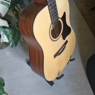 Crafter guitar, bag, stand, strap and capo