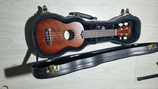 Kala Ka15s soprano ukelele and hard case