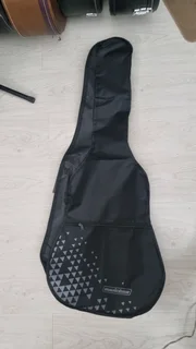 Aria STG series electric guitar and bag