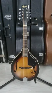 Cort electric mandolin and bag