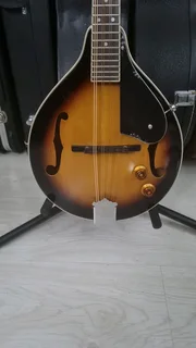 Cort electric mandolin and bag