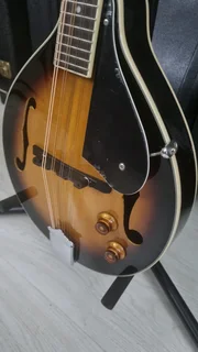 Cort electric mandolin and bag