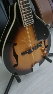 Cort electric mandolin and bag