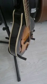 Cort electric mandolin and bag