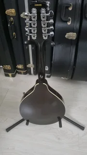 Cort electric mandolin and bag