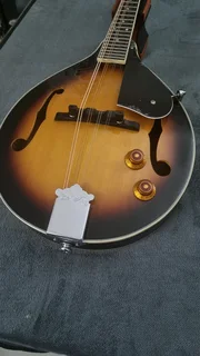 Cort electric mandolin and bag