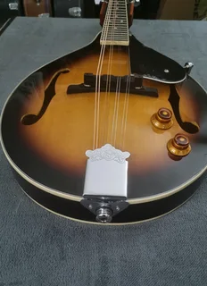 Cort electric mandolin and bag