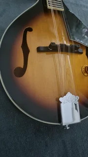 Cort electric mandolin and bag