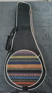 Cort electric mandolin and bag
