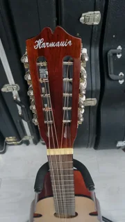 Puerto Rican 10 string Cuatro guitar and bag