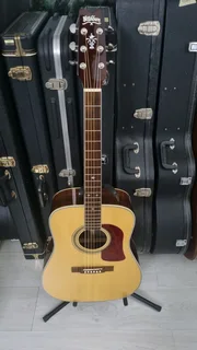 Washburn D21s acoustic guitar and hard case