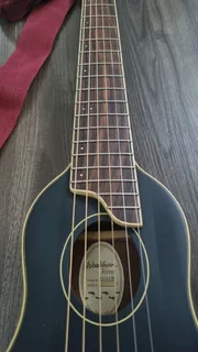 Washburn Rover travel guitar and case