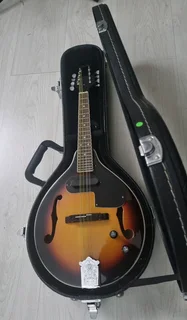 Fender acoustic electric mandolin and hard case