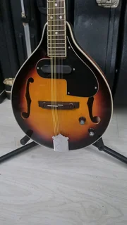 Fender acoustic electric mandolin and hard case