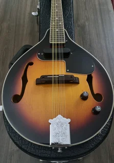 Fender acoustic electric mandolin and hard case