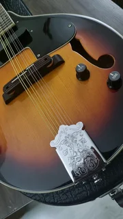 Fender acoustic electric mandolin and hard case