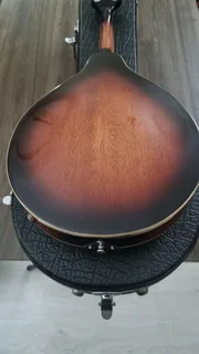 Fender acoustic electric mandolin and hard case