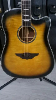 Player by Keith Urban acoustic guitar and bag