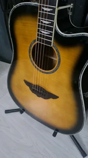 Player by Keith Urban acoustic guitar and bag