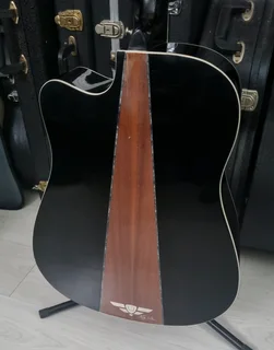 Player by Keith Urban acoustic guitar and bag