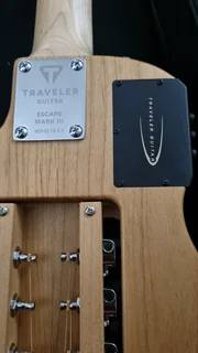Traveller Guitar semi acoustic and bag