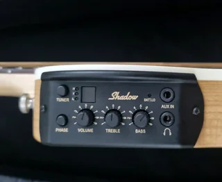 Traveller Guitar semi acoustic and bag