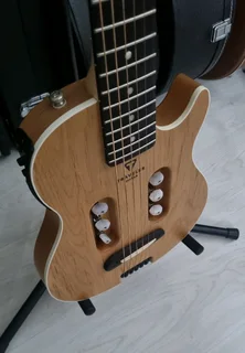 Traveller Guitar semi acoustic and bag