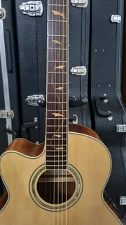 (Left handed) Ibanez AEL40SE-RLV semi acoustic guitar and bag