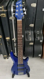 Wedgwood 6 string bass guitar and bag