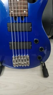 Wedgwood 6 string bass guitar and bag