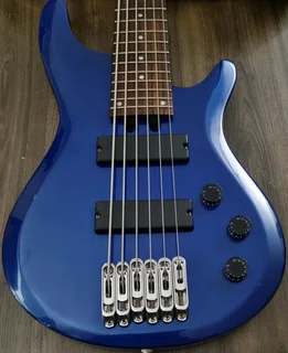 Wedgwood 6 string bass guitar and bag