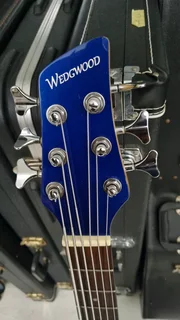Wedgwood 6 string bass guitar and bag