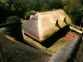 Thatch grass for sale and repair