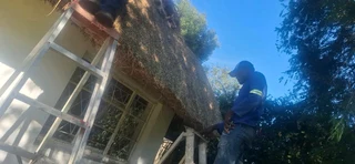 Thatch roof installation and repairs