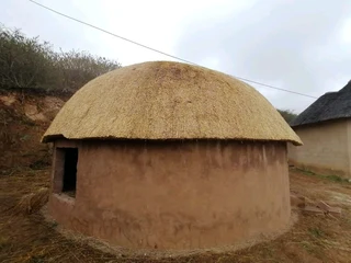 Thatching grass for sale