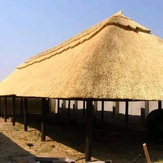 Thatching grass for sale