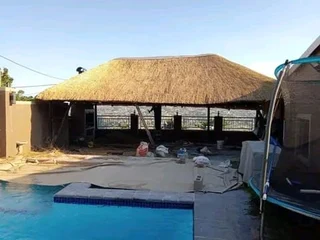 Thatching grass for sale