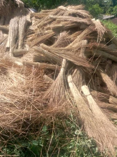Thatching grass for sale