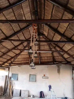 Thatching grass for sale