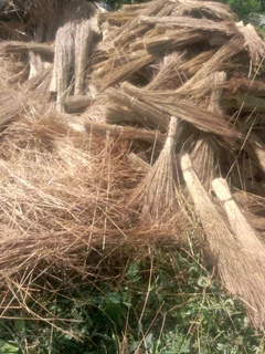 Thatching grass for sale