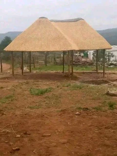 Thatching grass for sale