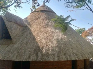 Thatching grass for sale