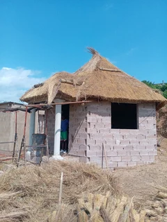 Thatch roof