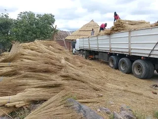 Thatch roof installation and maintenance