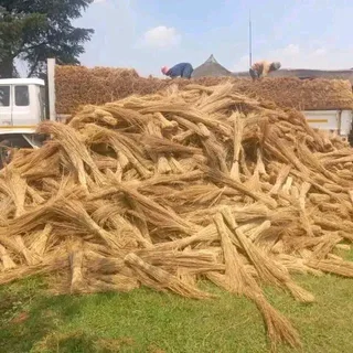 Thatch roof installation and maintenance