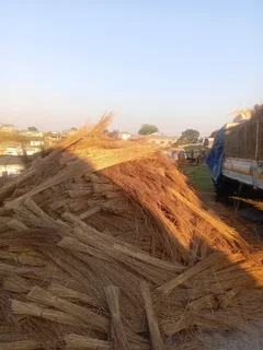 Thatching grass for sale and repair