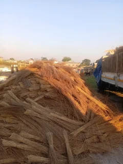 Thatching grass for sale and repair