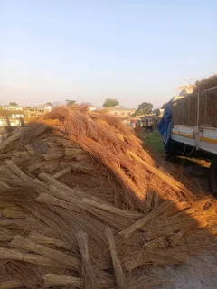 Thatching grass for sale and repair