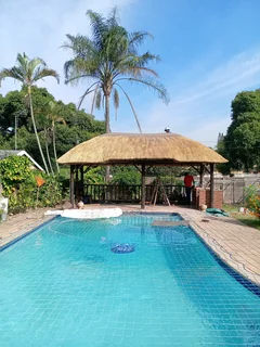 Thatching grass for sale and repair