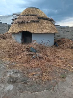 Thatch roof and repairs
